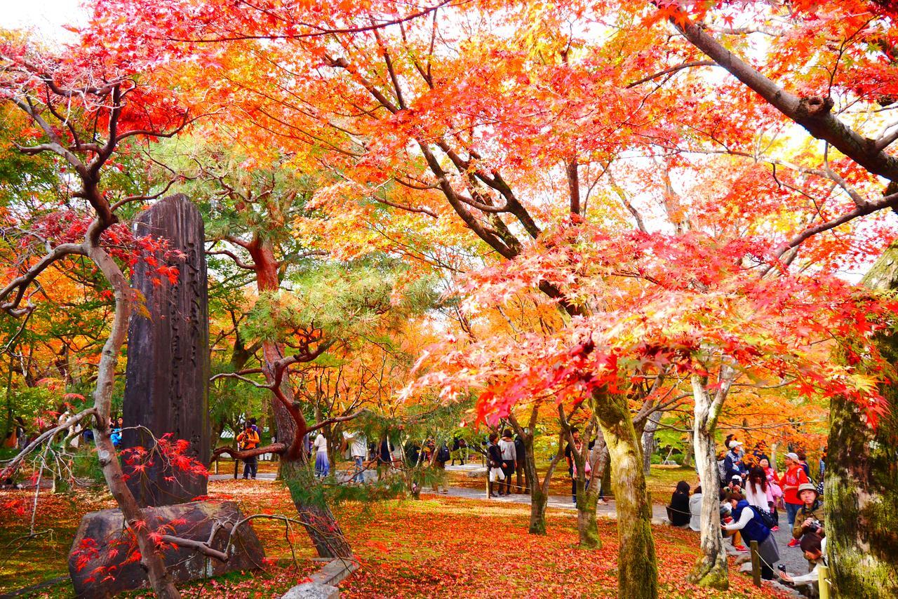 Japaning Hotel Libre Tofukuji 京都市 エクステリア 写真