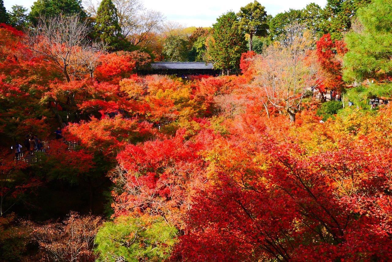 Japaning Hotel Libre Tofukuji 京都市 エクステリア 写真